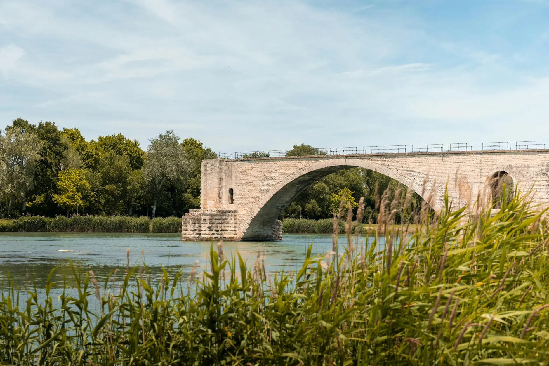 The Pont Saint-Bénézet seen from the banks of the Barthelasse island