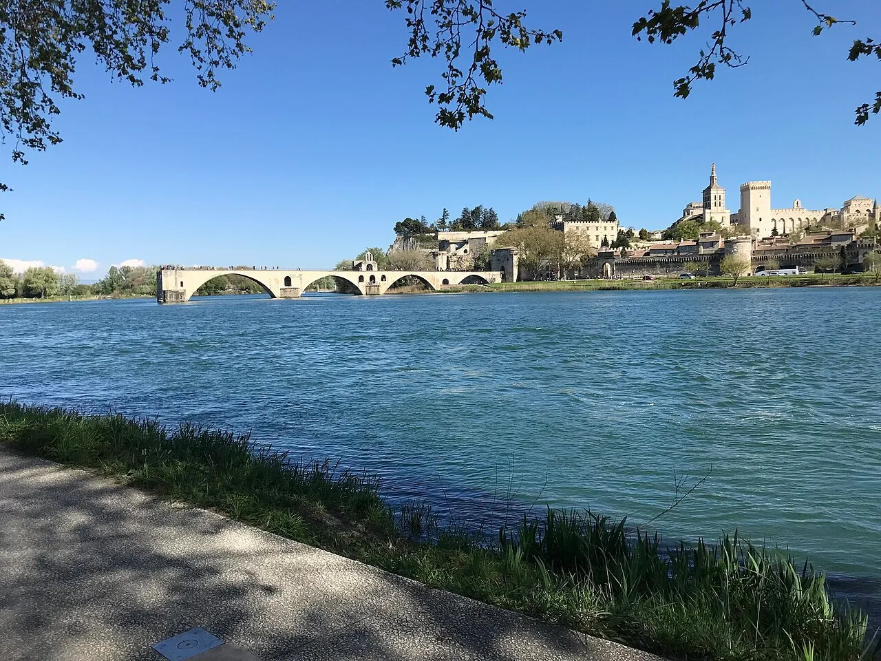 Île de la Barthelasse