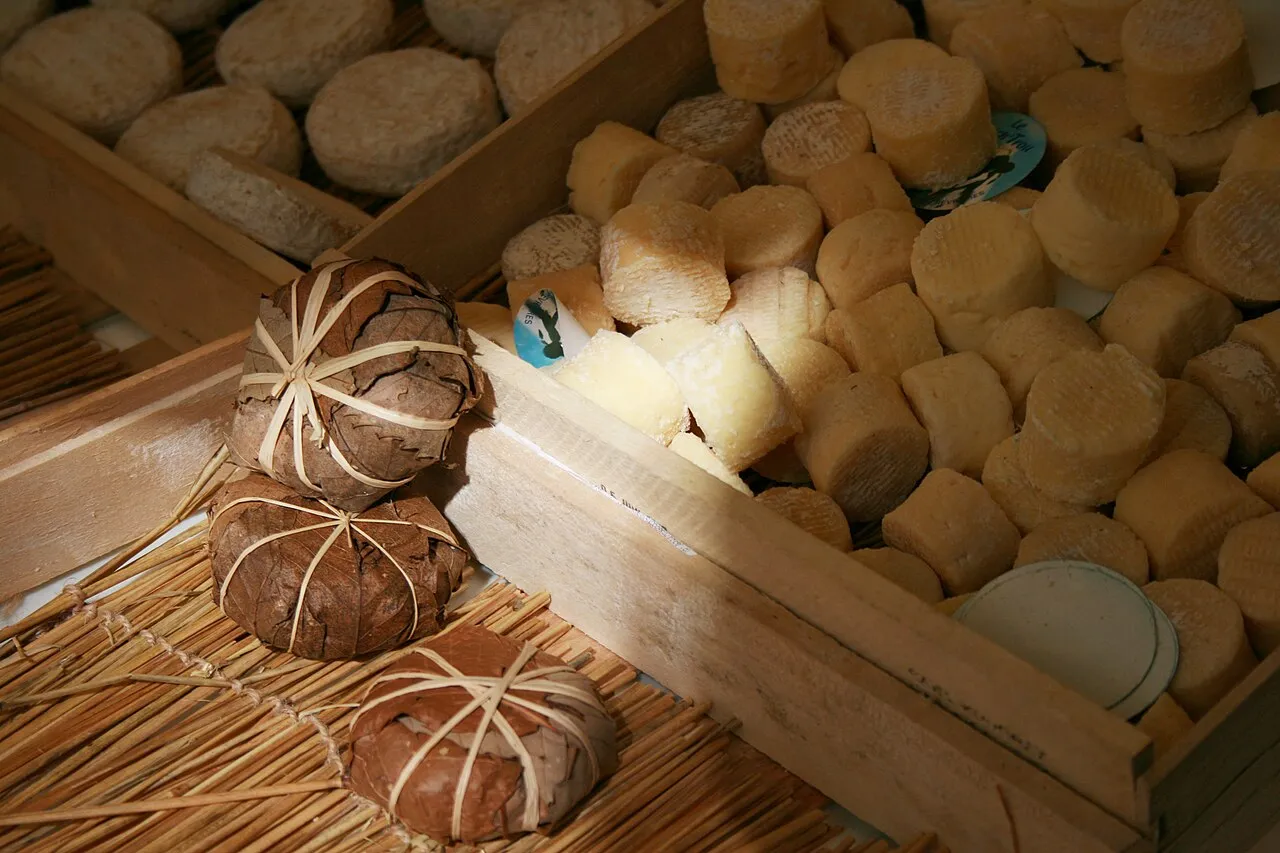 Artisanal goat cheeses displayed at a Provençal market