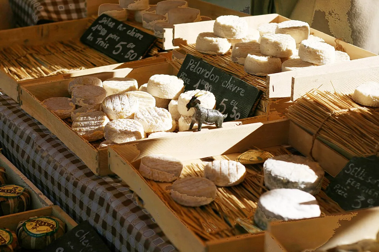 Fromages de chèvre artisanaux présentés sur un marché du Luberon