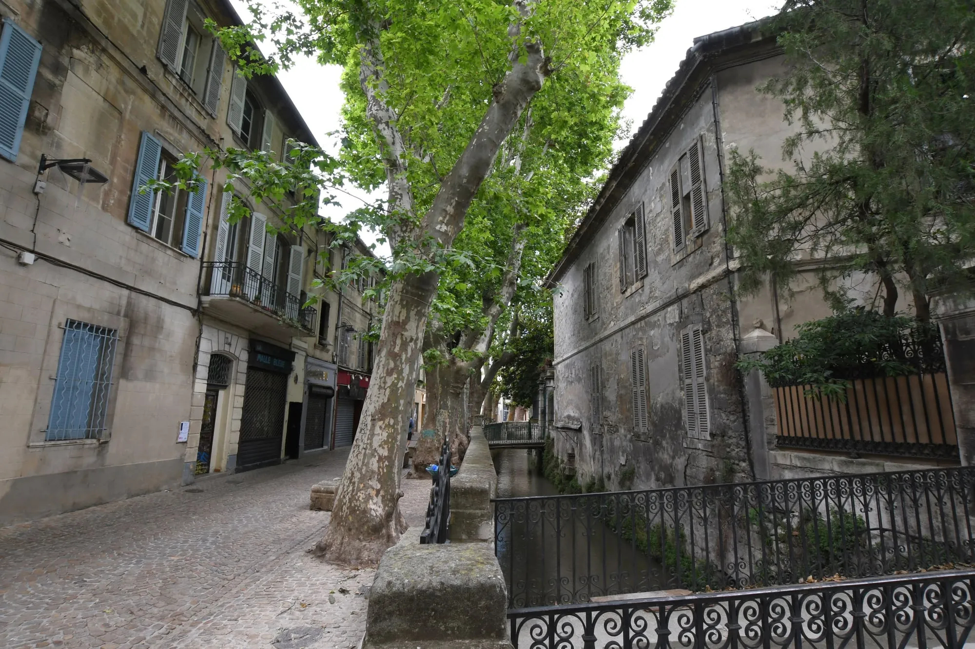 Rue des Teinturiers and its plane-tree-lined canal in Avignon